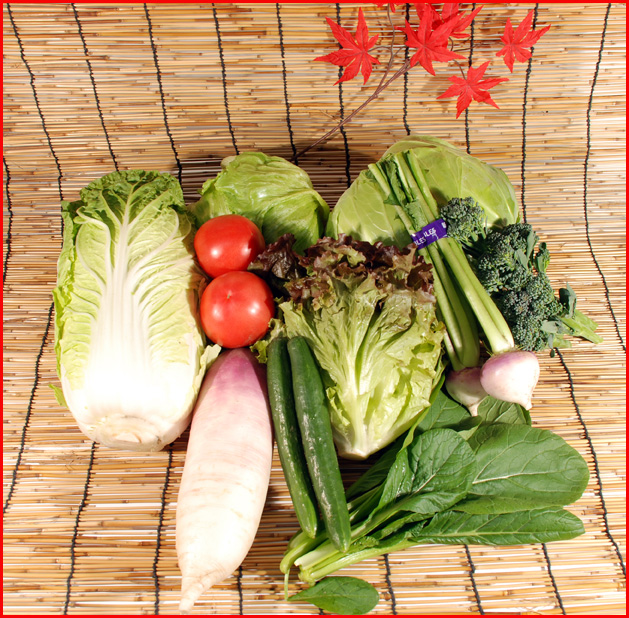 新鮮野菜10品(8種以上)セット送料込2600円+税(関東・中部・東北配送の方)
