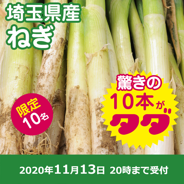 【プレゼント】長ネギ10本