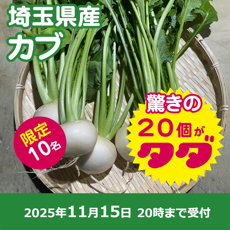 【プレゼント】カブ