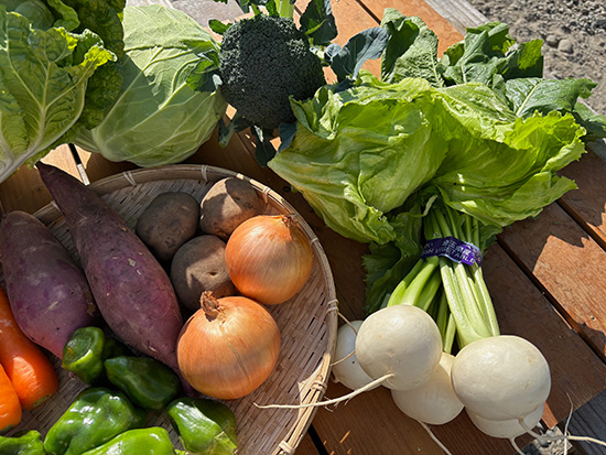 【特売11/10】わけあり野菜12種（北海道と九州の方）※送料込み※100サイズ満タン