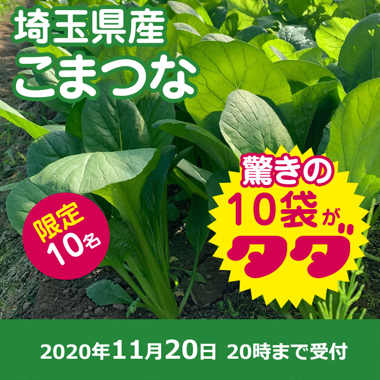 【プレゼント】小松菜10袋