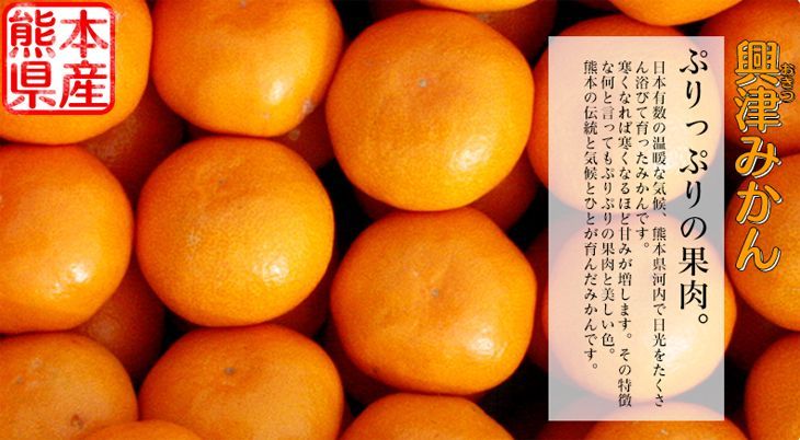 興津みかん 5kg