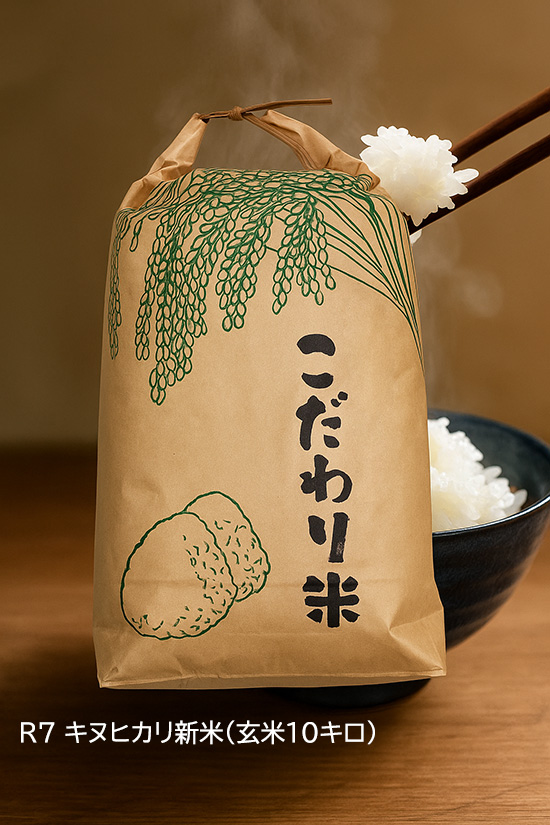 【新米】R7年　キヌヒカリ玄米10kg（送料込み）