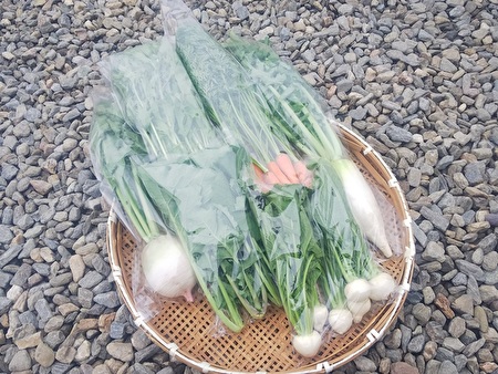 「完全無肥料、無農薬、自然農法産のお野菜７点」セット※北海道、九州地方向け
