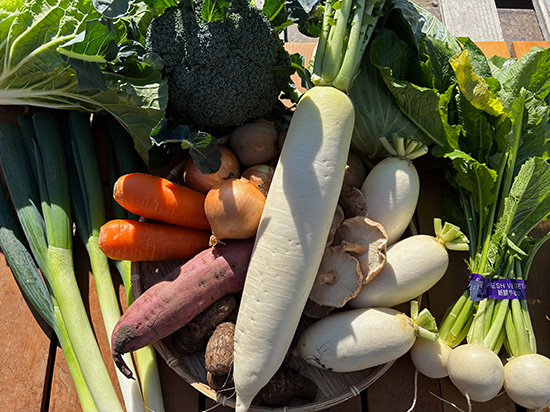 【特売11/18】わけあり野菜12種（北海道と九州の方）※送料込み※100サイズ満タン