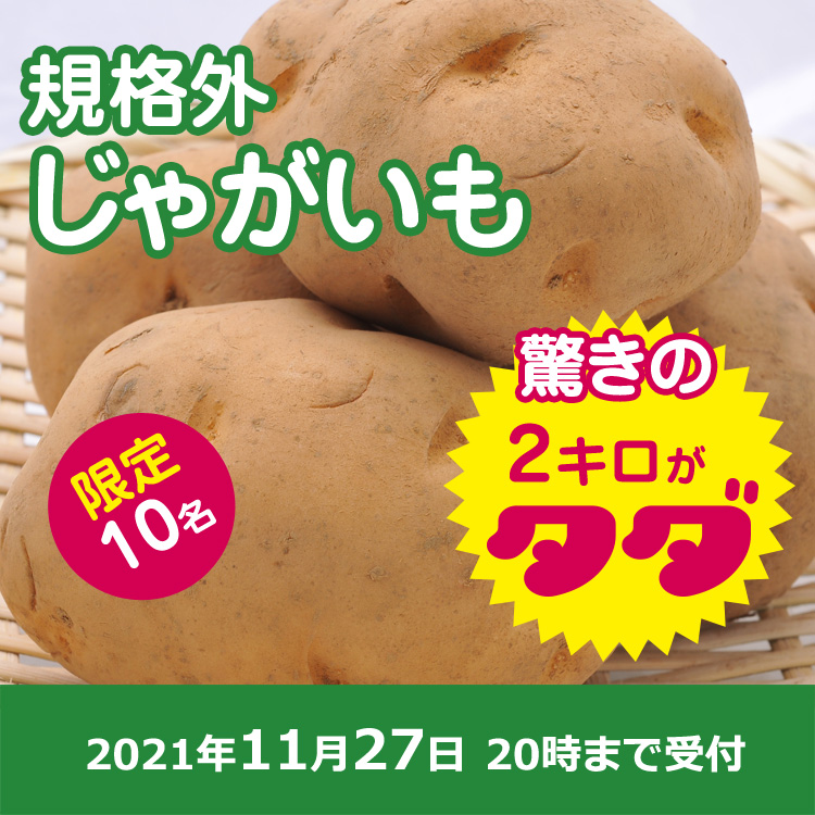 【プレゼント】規格外じゃがいも2キロ