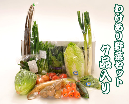 【タイムセール第二弾】訳あり野菜7品セット(関東・中部・東北発送の方はこちら)