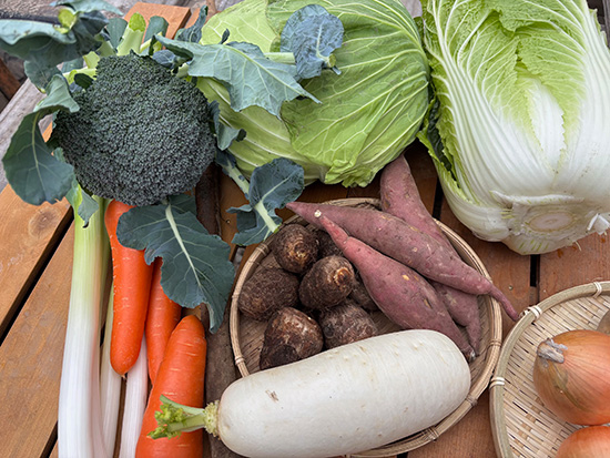 【特売11/25】わけあり野菜12種（本州と四国の方）※送料込み※100サイズ満タン