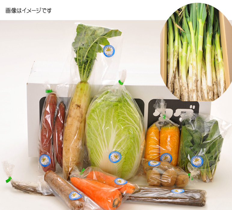 野菜6品セット+長ネギ5本