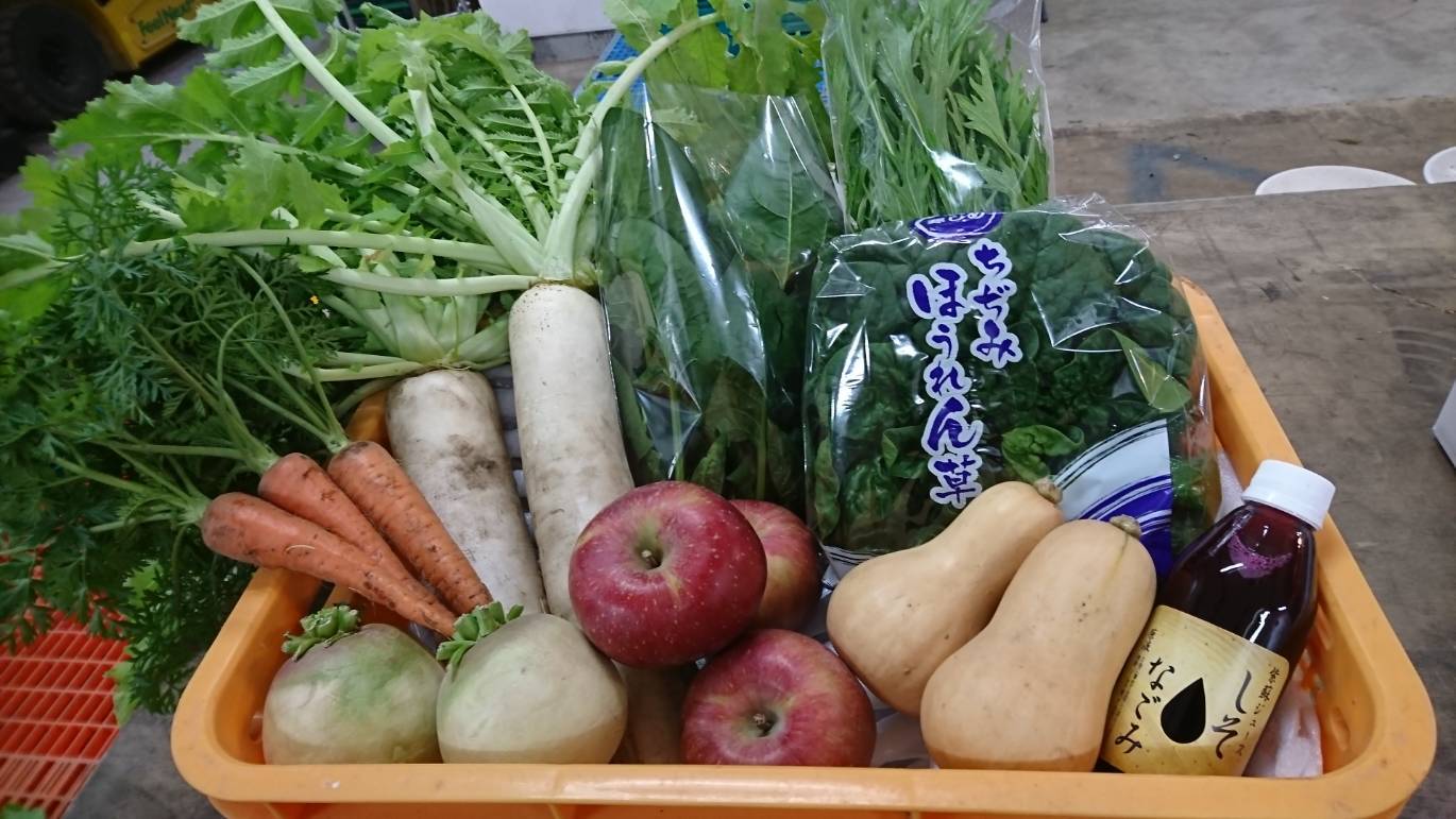 長野県産 こだわり冬野菜セット