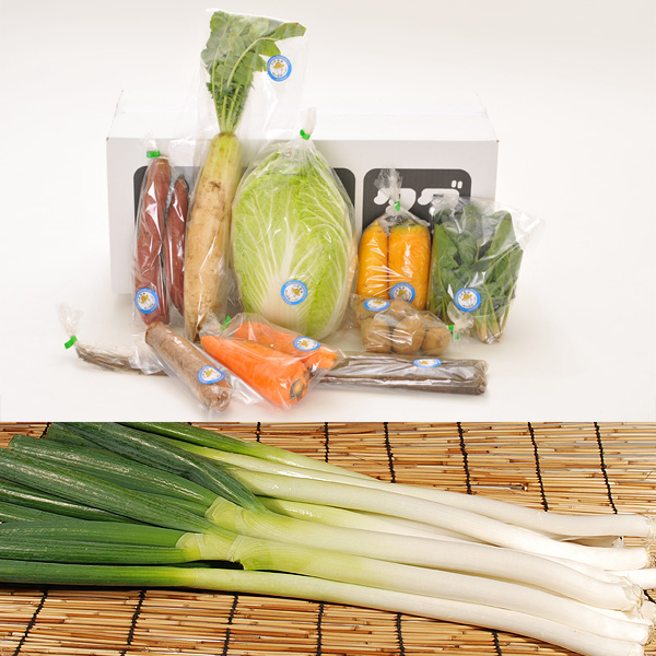 【野菜7品セット】野菜6品セット+深谷ネギ10本のセット(関東・中部・東北発送の方はこちら)