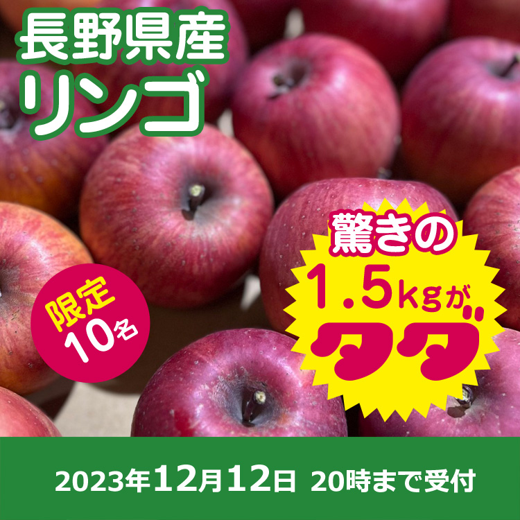 【プレゼント】長野県産リンゴ