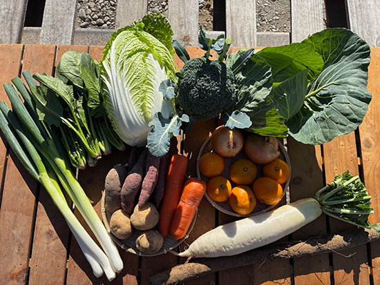 【特売12/6】わけあり野菜12種（北海道と九州の方）※送料込み※100サイズ満タン