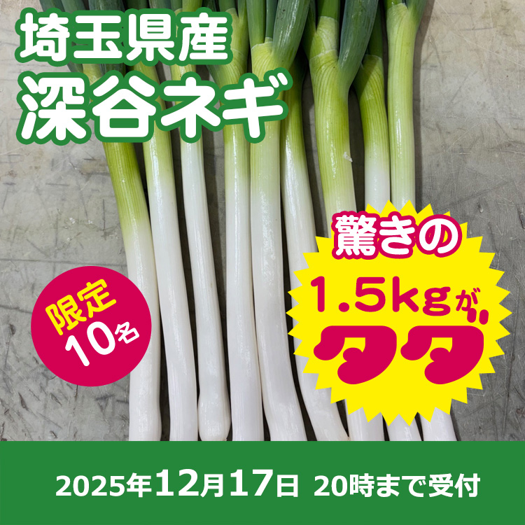 【プレゼント】深谷ネギ1.5キロ