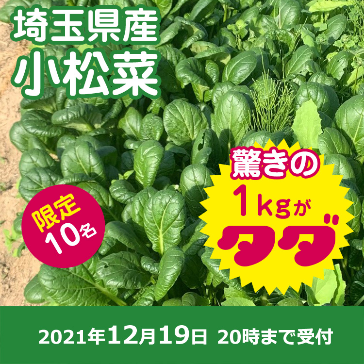 【プレゼント】小松菜1キロ