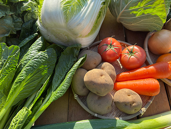 【特売12/17】わけあり野菜12種（北海道と九州の方）※送料込み※100サイズ満タン