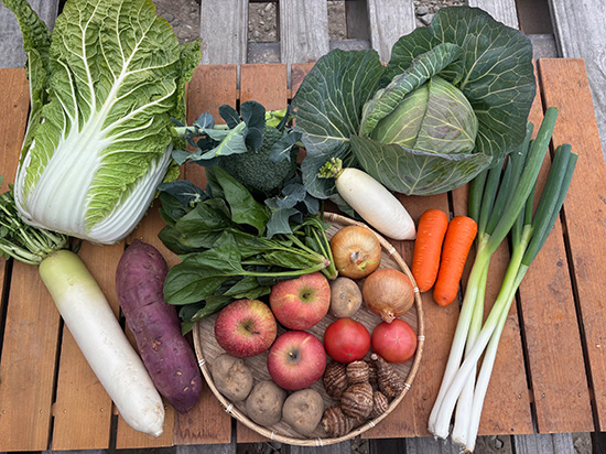 【リンゴ3個付き】わけあり野菜12種（本州と四国の方）※送料込み※100サイズ満タン