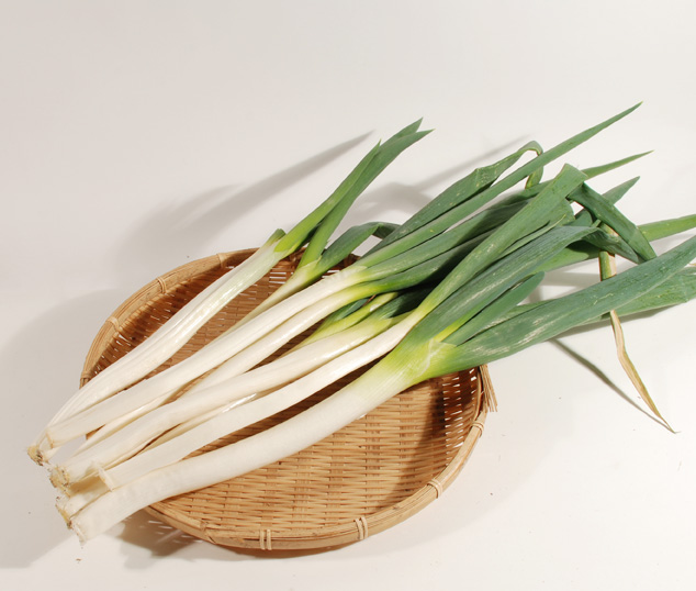 幻の深谷ねぎ(農研)5キロ