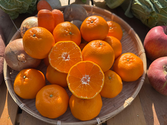 【みかん＆ポンカン付き】訳アリ野菜12種（北海道と九州の方）※送料込み※