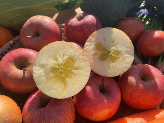 【葉とらずリンゴ1キロ付き】訳あり野菜10種セット（北海道と九州の方）※送料込み※